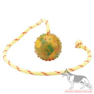 Palla da gioco in gomma con corda, 6 cm di diametro